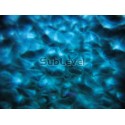 Waterwave